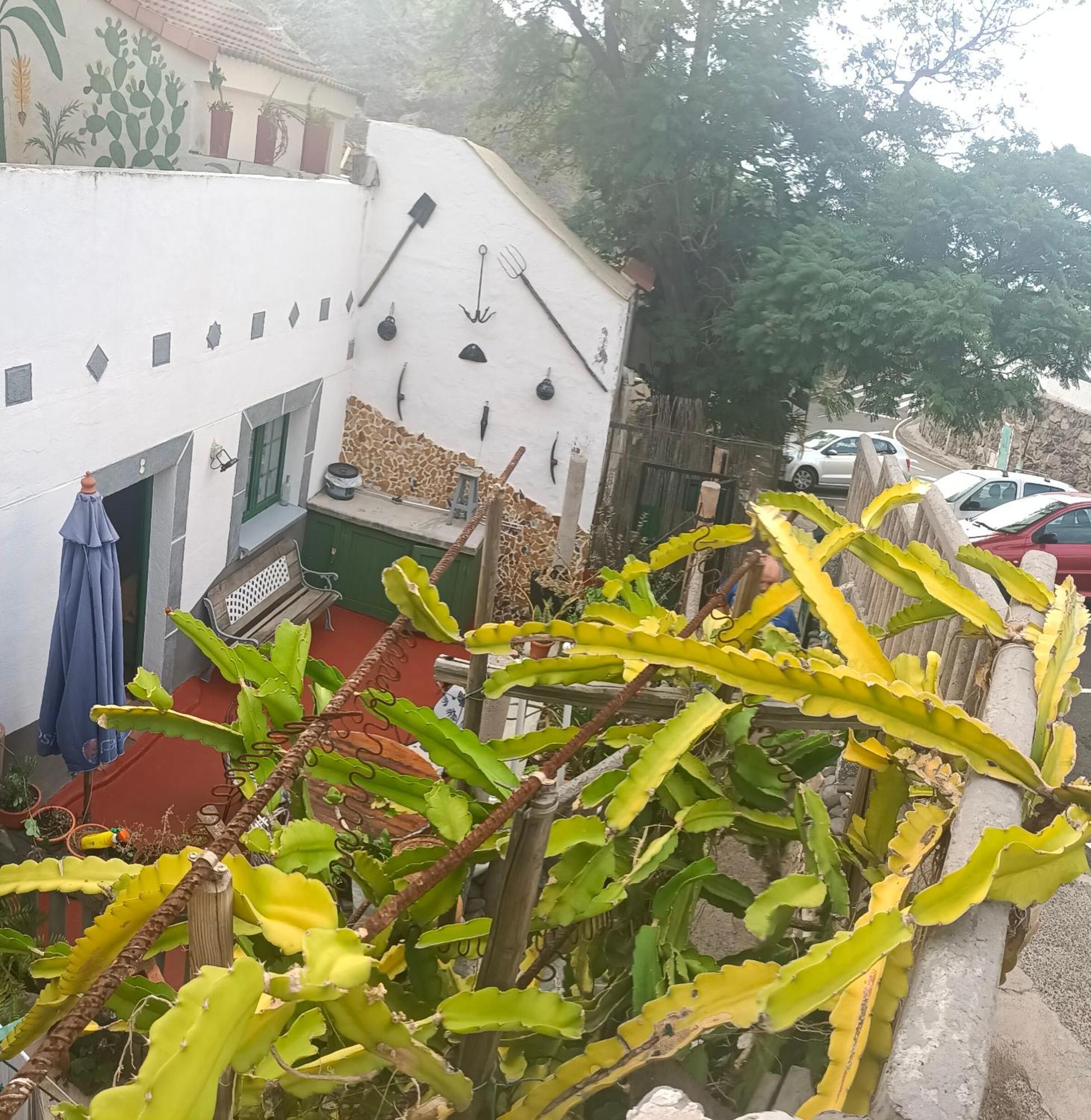 Chalet Juana La Concha Valle De Agaete San Pedro  ภายนอก รูปภาพ